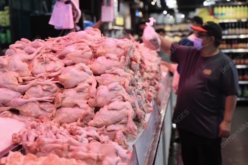 TINJAUAN BEKALAN BAHAN MAKANAN