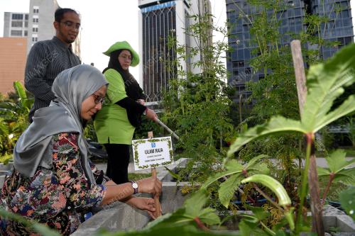 KL52_07082018_KEBUN_BN201808065116