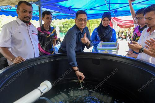 MAJLIS PELEPASAN UDANG AIR TAWAR