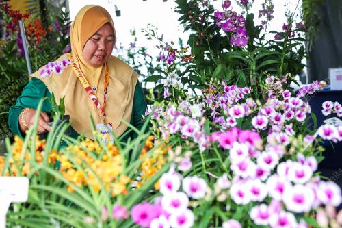 SITI RUBIDAH MUKIBA