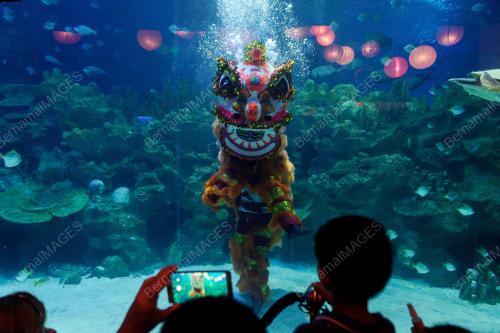 KL52_18022011_AQUARIA