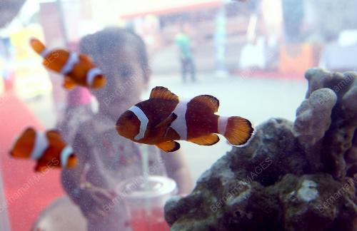 KL52_27062014_LKIM