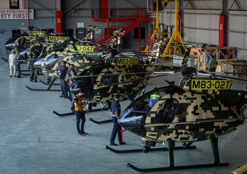 HELICOPTER MODEL MD530G