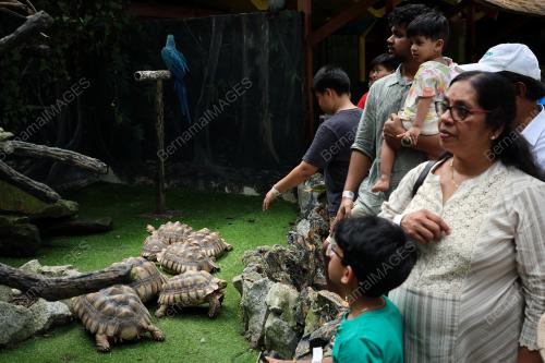 ZOO NEGARA