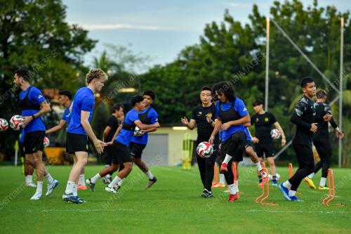 HARIMAU MALAYA