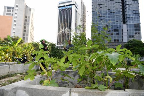 KL53_07082018_KEBUN_BN201808065116