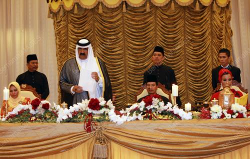 TUANKU MIZAN ZAINAL ABIDIN