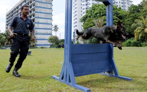KL53_22032012_K-9_POLAPOL