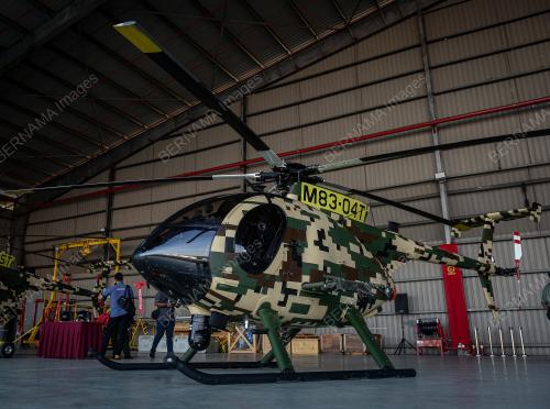 HELICOPTER MODEL MD530G