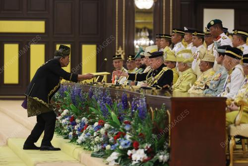 SULTAN IBRAHIM