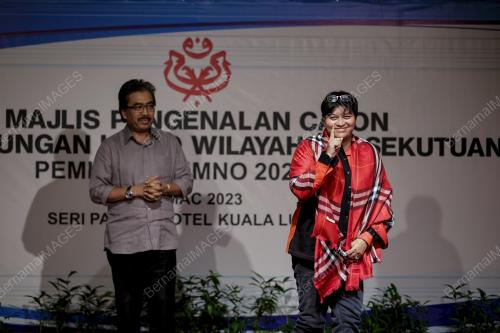 PEMILIHAN_UMNO