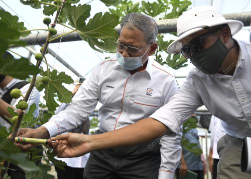 DATUK SERI MUSTAPA MOHAMED