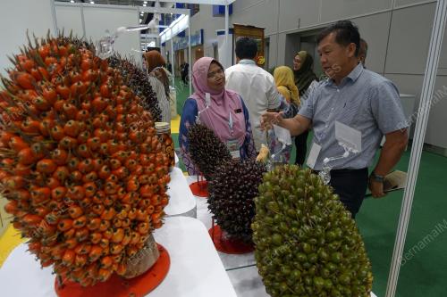 KL54_20112019_PIPOC_BN201908087538