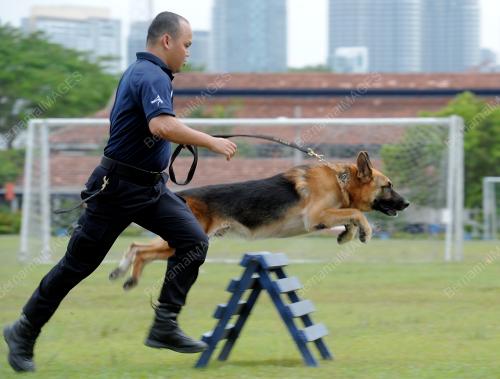 KL54_22032012_K-9_POLAPOL