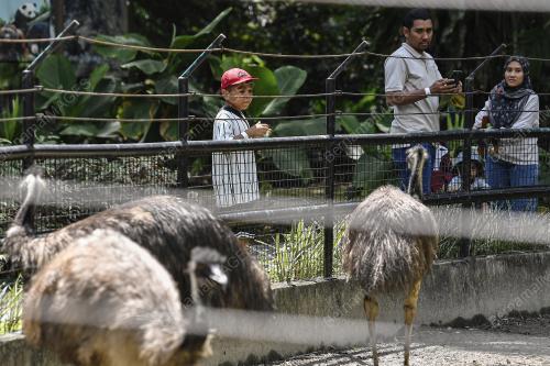 TINJAUAN CUTI HUJUNG MINGGU DAN CUTI SEKOLAH