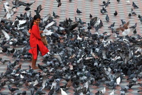 KL54_30012026_THAIPUSAM