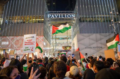 PROTES JALAN-JALAN PALESTIN