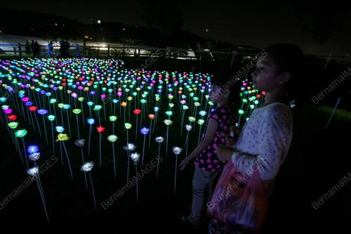 KL55_06122016_BUNGA_LED