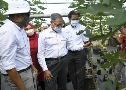 DATUK SERI MUSTAPA MOHAMED