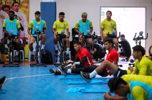 HARIMAU MALAYA