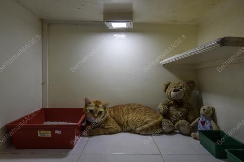 KL55_13062018_CELEBRITY_KATZ