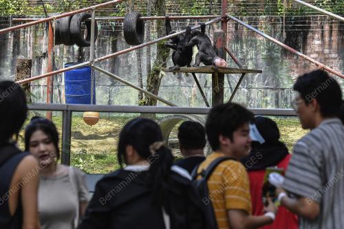 TINJAUAN CUTI HUJUNG MINGGU DAN CUTI SEKOLAH