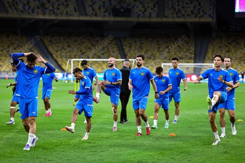 HARIMAU MALAYA
