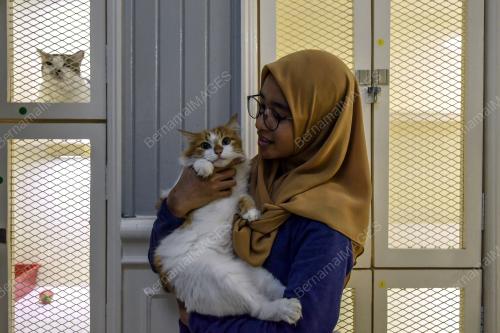 KL56_13062018_CELEBRITY_KATZ