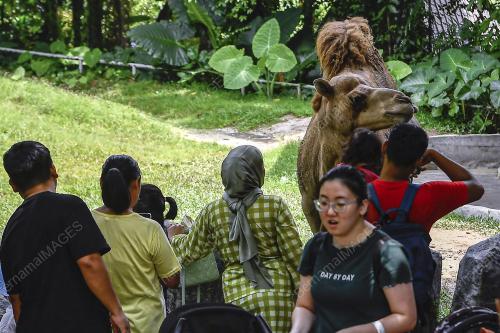 TINJAUAN CUTI HUJUNG MINGGU DAN CUTI SEKOLAH