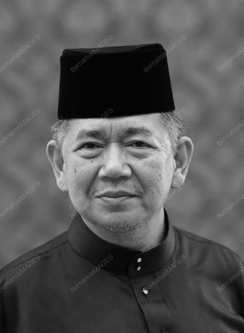 DATUK SERI SALAHUDDIN AYUB