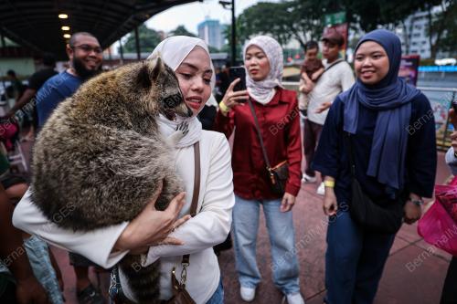 TINJAUAN CUTI SEKOLAH