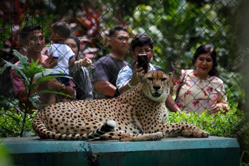 ZOO NEGARA