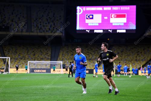 HARIMAU MALAYA