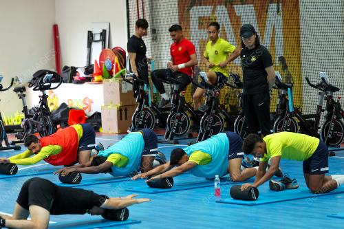HARIMAU MALAYA