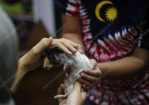 KL57_23112018_MAHA_BN201811214298