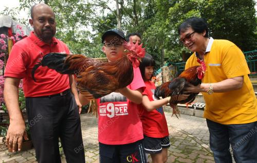 KL57_30012017_TINJAUAN_ZOO_CNY