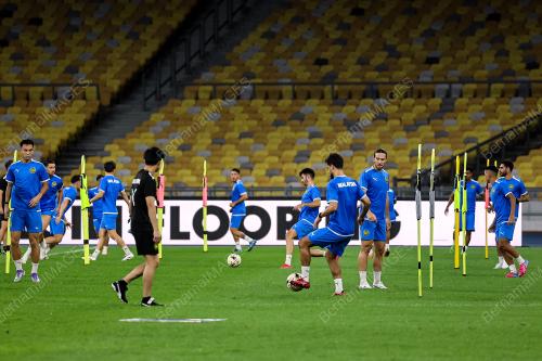 HARIMAU MALAYA