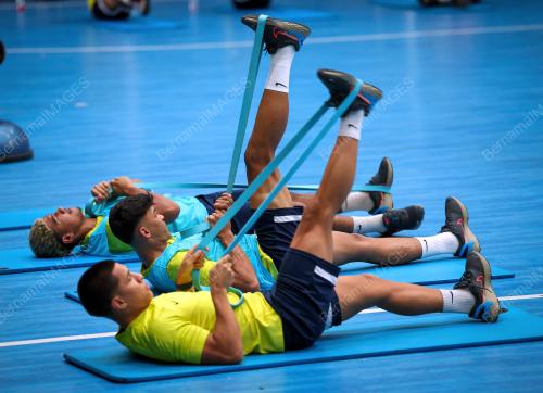 HARIMAU MALAYA