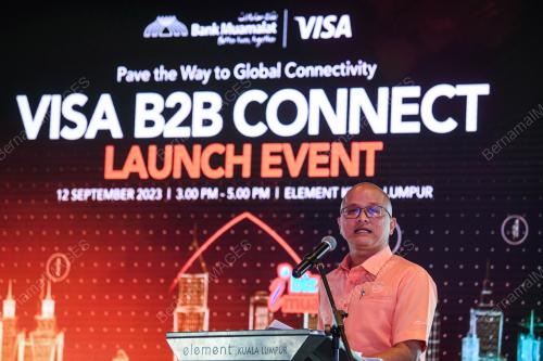 VISA B2B CONNECT