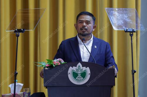 MANNDZRI NASIB