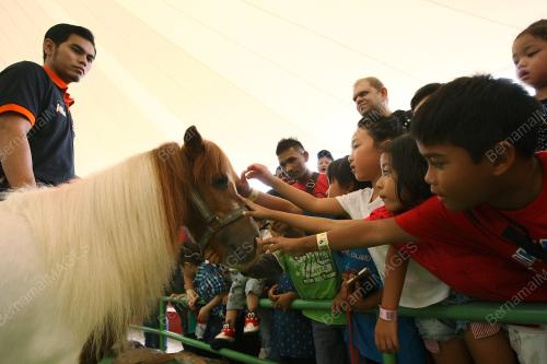 KL58_30012017_TINJAUAN_ZOO_CNY