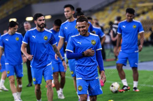 HARIMAU MALAYA
