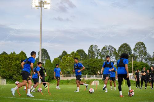 HARIMAU MALAYA
