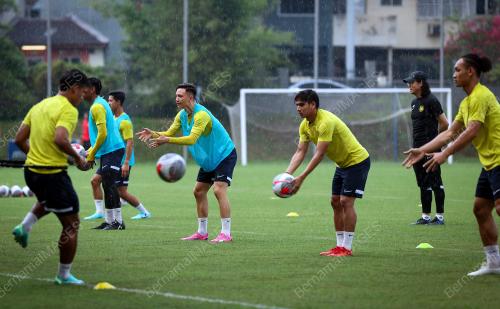 HARIMAU MALAYA