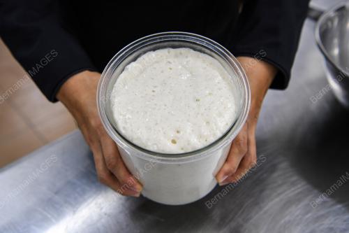 YIN SOURDOUGH