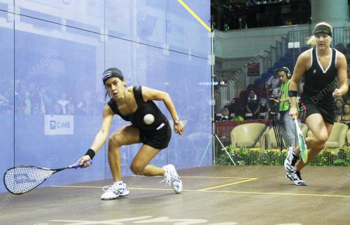 NICOL DAVID