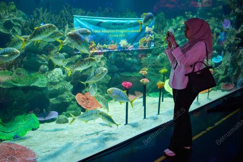 THE LAUNCH OF AQUARIA KLCC'S CORAL