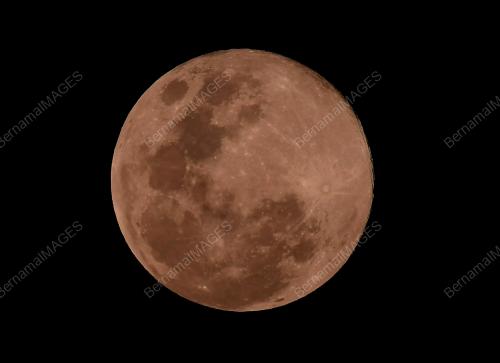KL59_19042019_BULAN