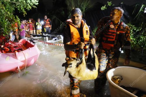 BANJIR SELANGOR