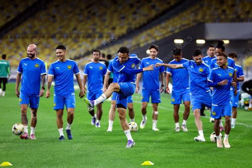HARIMAU MALAYA
